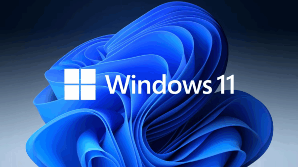 Windows 11
